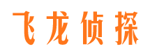 肥城市婚姻调查